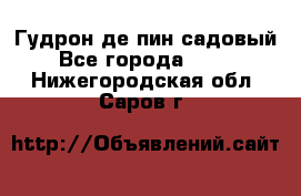 Гудрон де пин садовый - Все города  »    . Нижегородская обл.,Саров г.